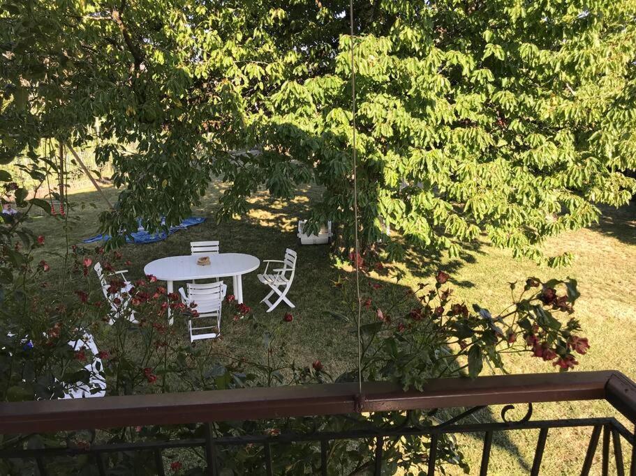 Comme Chez Mamie, Maison Entiere 1-6 Personnes アルビ＝シェラン エクステリア 写真